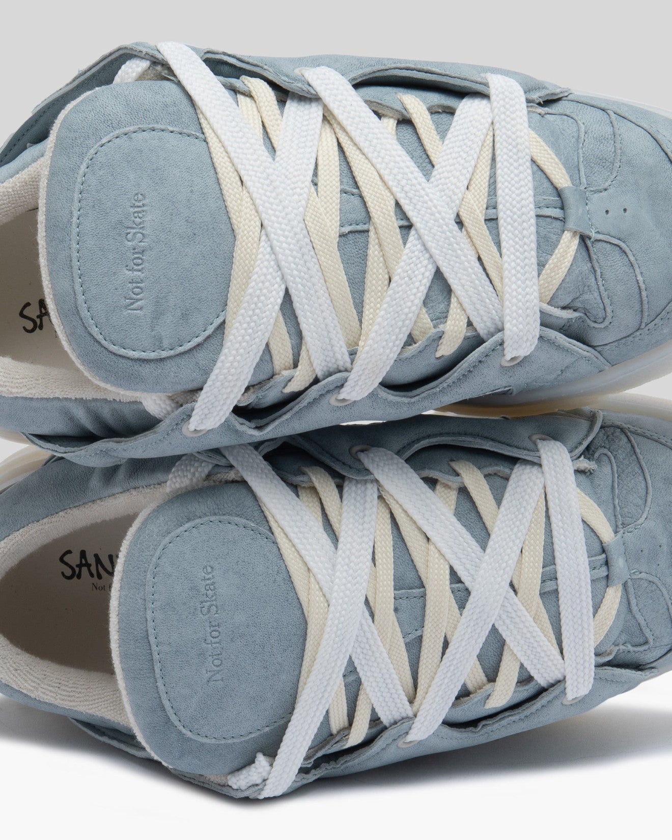 Santha Not for Skate