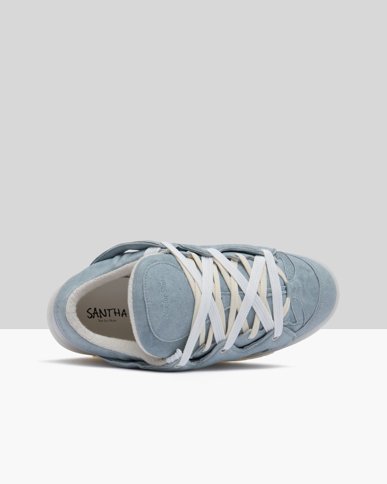 Santha Not for Skate