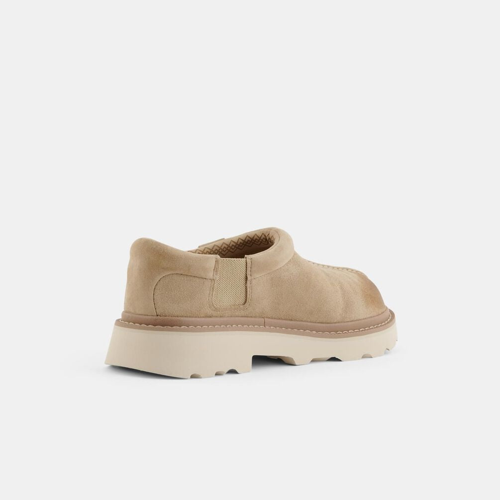 Ugg Tasman